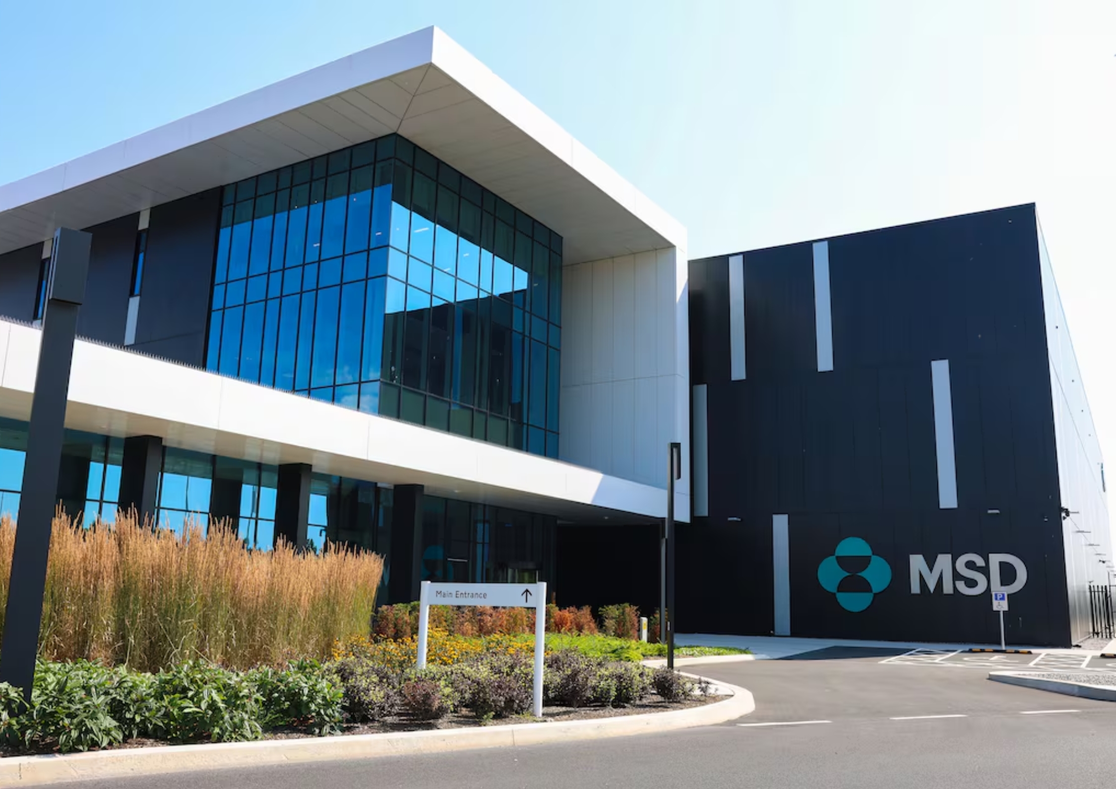 MSD Campus